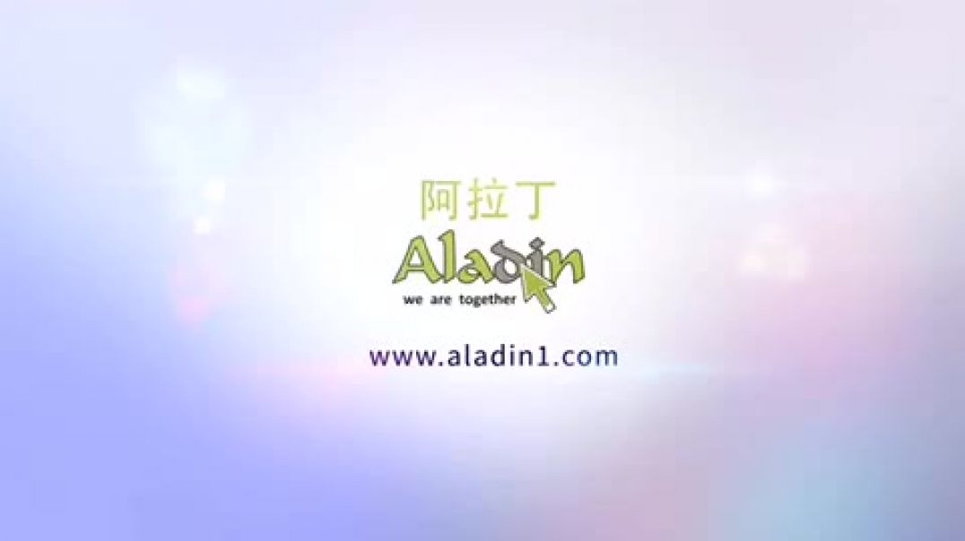 ⁣Aladin B2B plus China